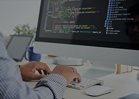 Custom Software Development
